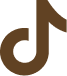 TikTok Icon