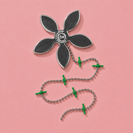 Silver Daisy